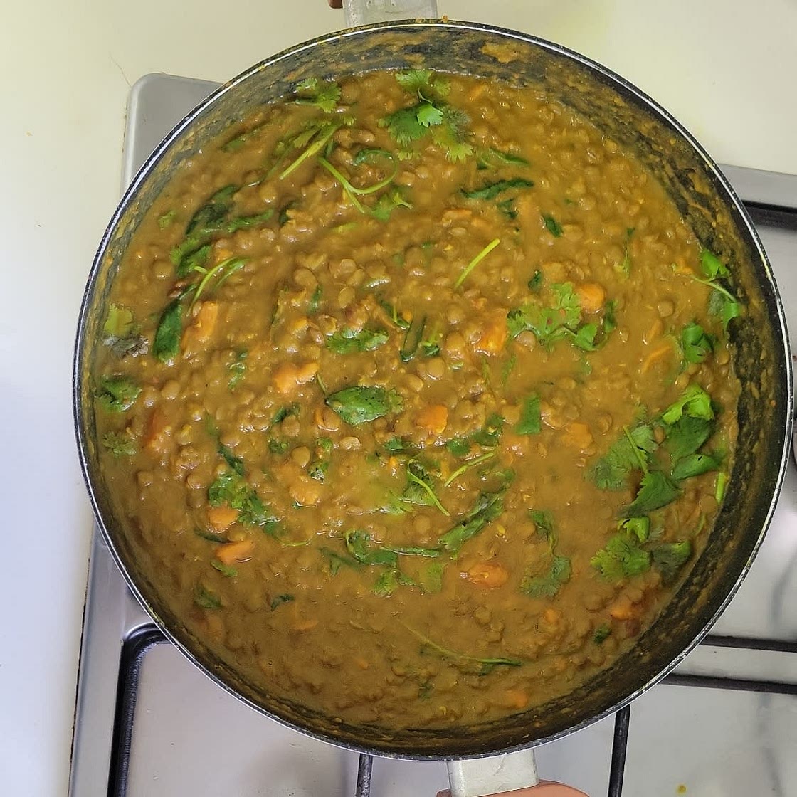 Sweet Potato Lentil Curry