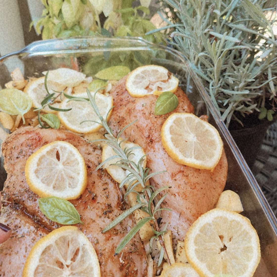Prosperity chicken ✨🍋🌱