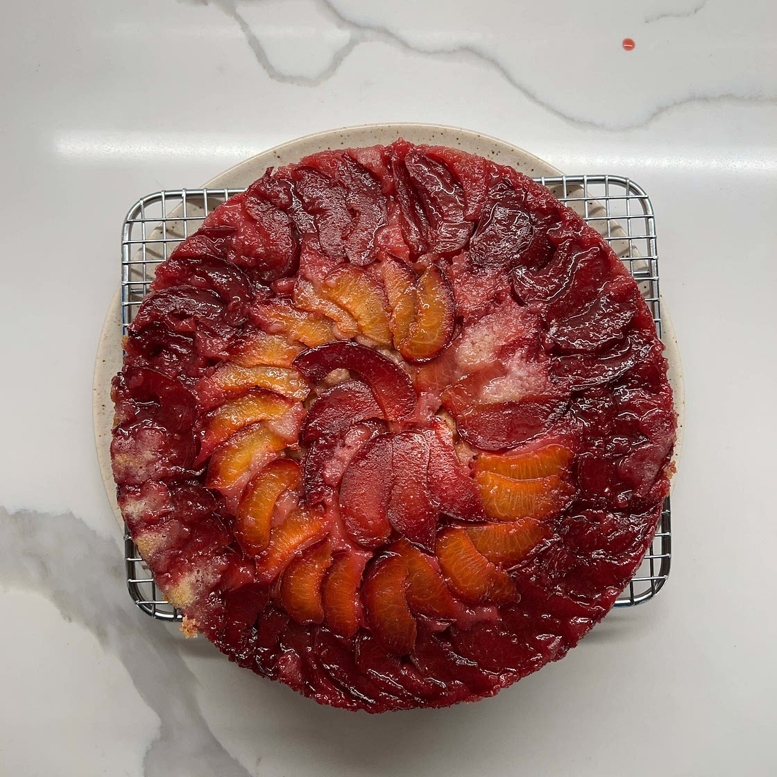 Upside Down Plum Yogurt Cake