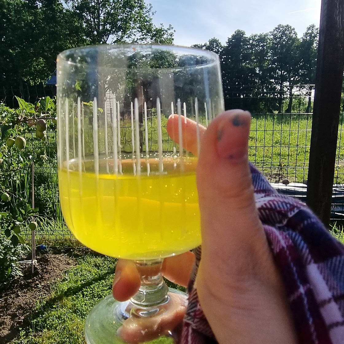 Lemonade