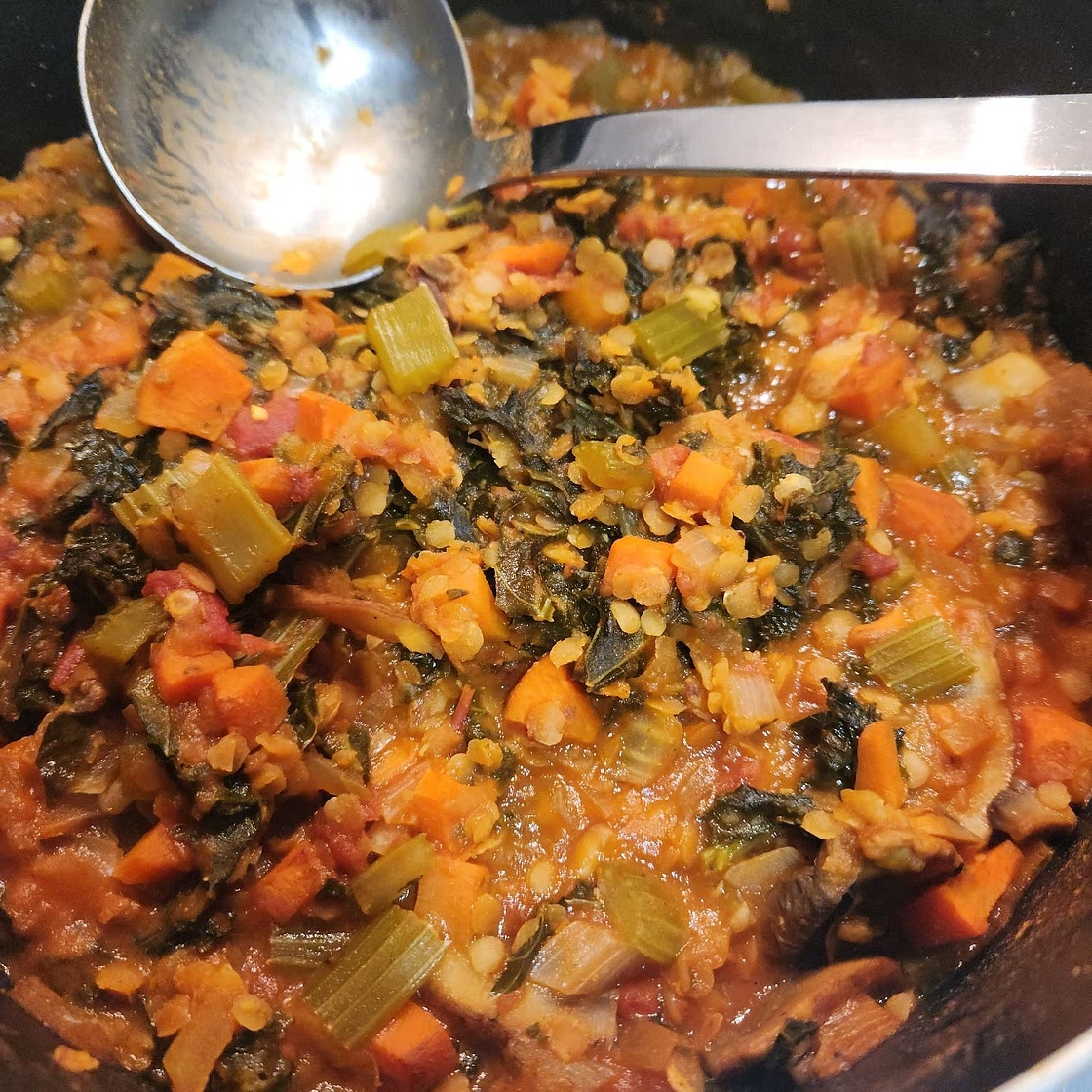Vegetable Lentil Soup