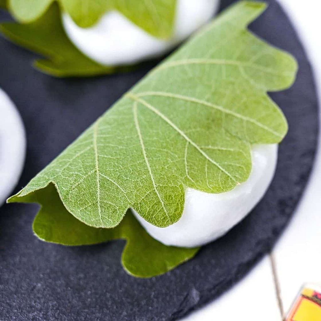 Kashiwa Mochi (柏餅)
