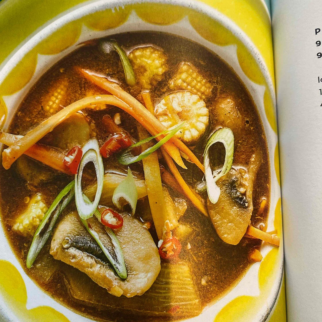 PON Hot and Sour Soup