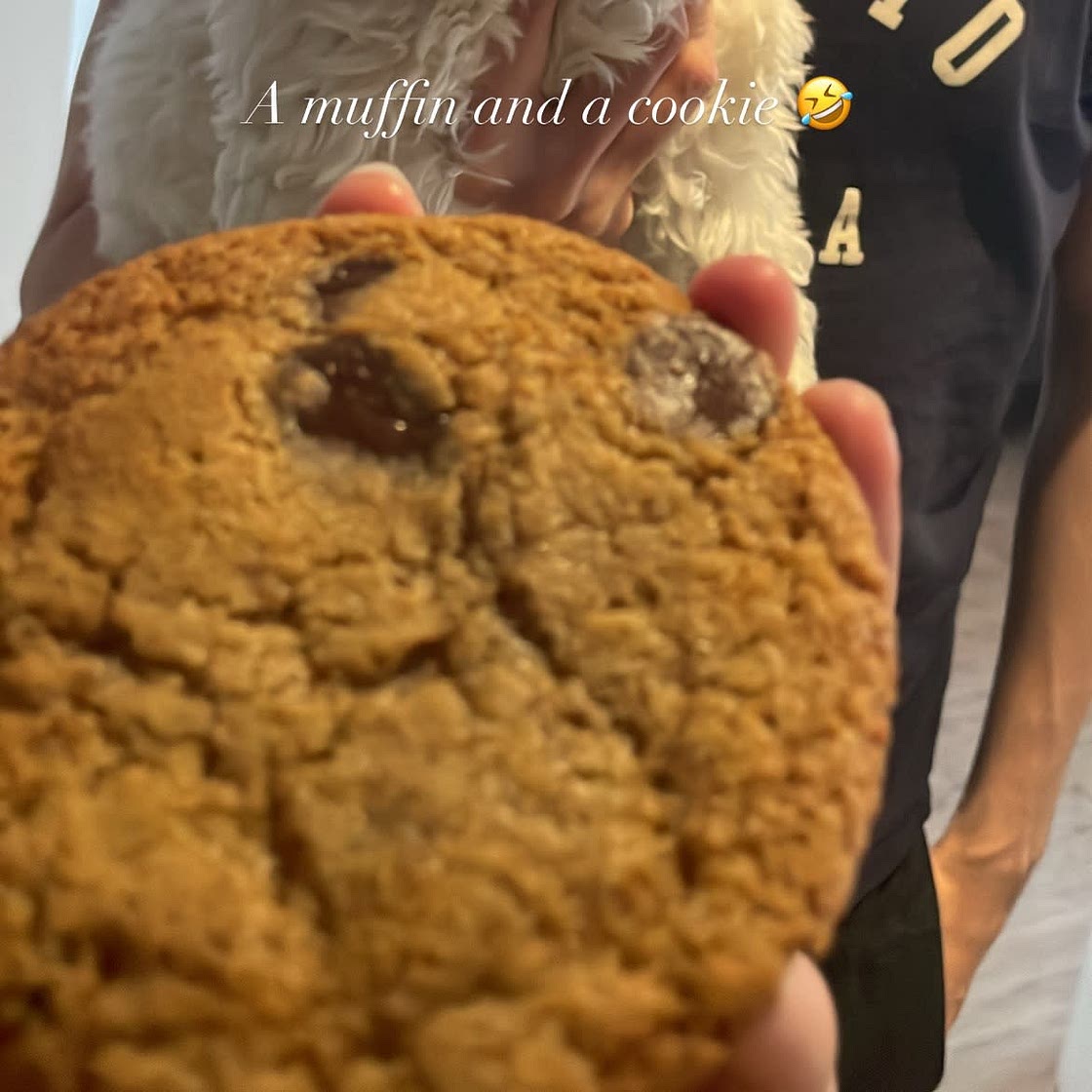 The Best Chocolate Chip Cookie Recipe Ever