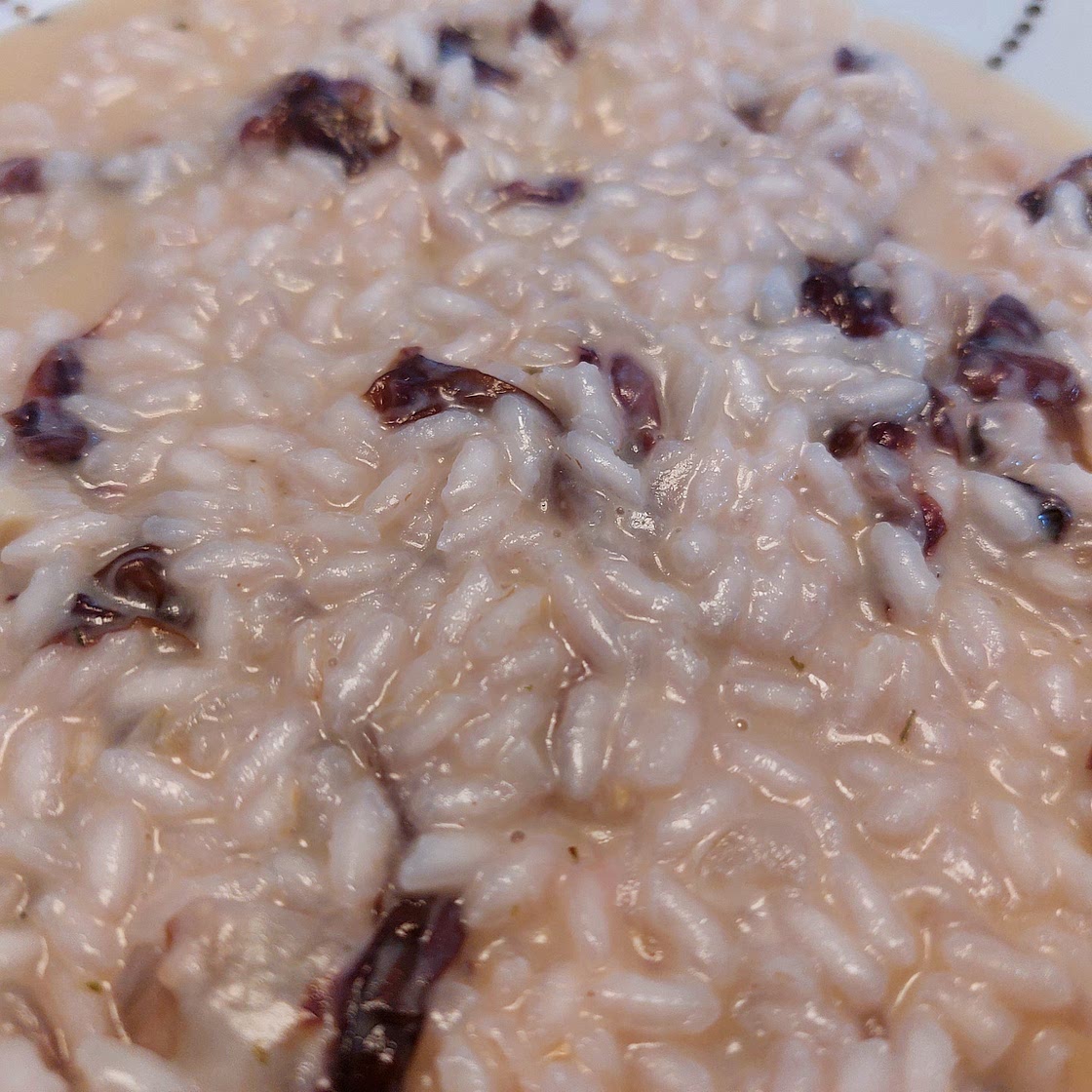 Risotto - Radicchio and scamorza