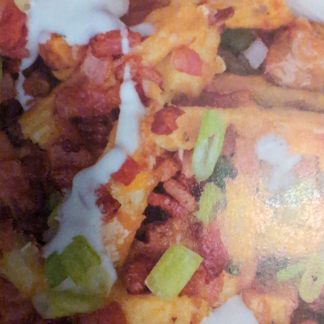 Loaded fries with ranch