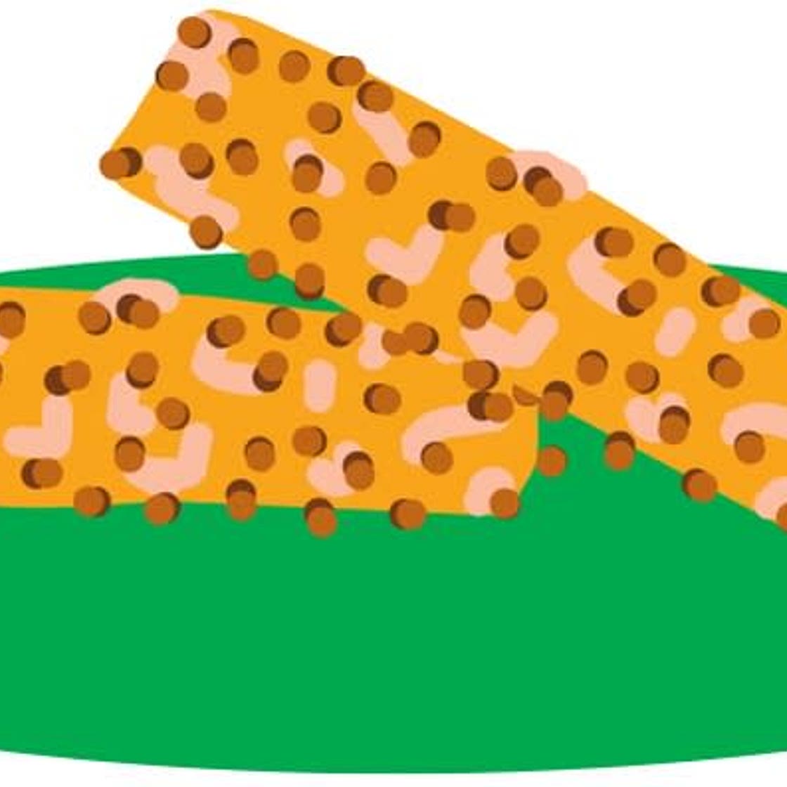 Salmon Cakes