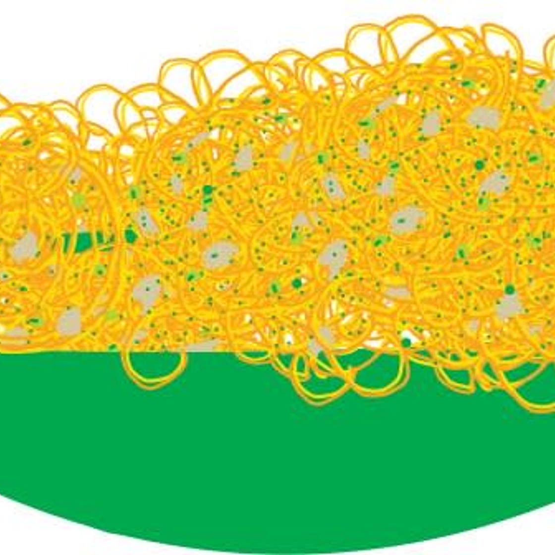 Tuna Pasta