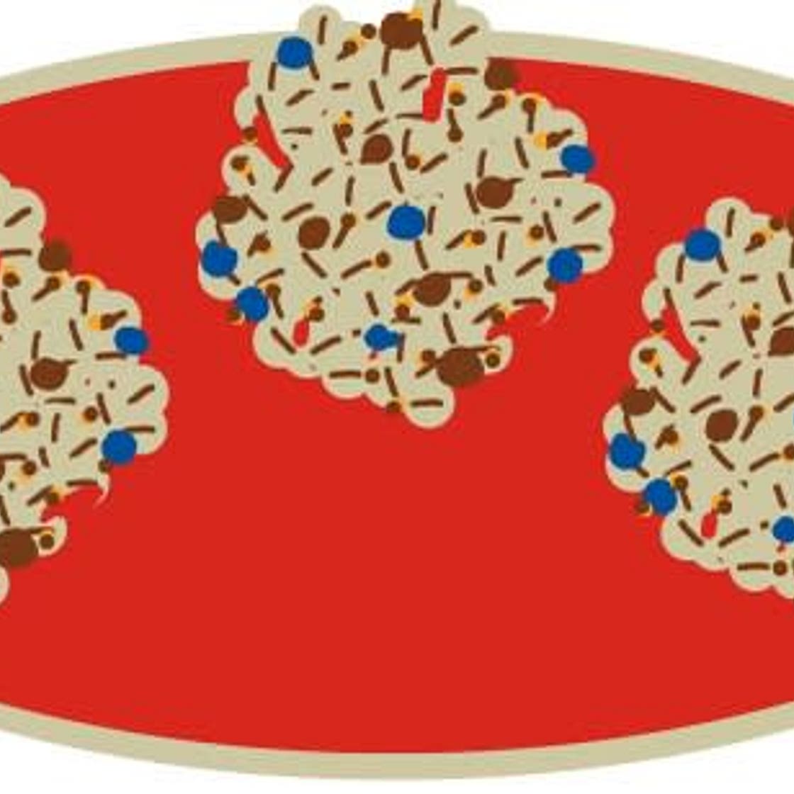 Oat Protein Bites