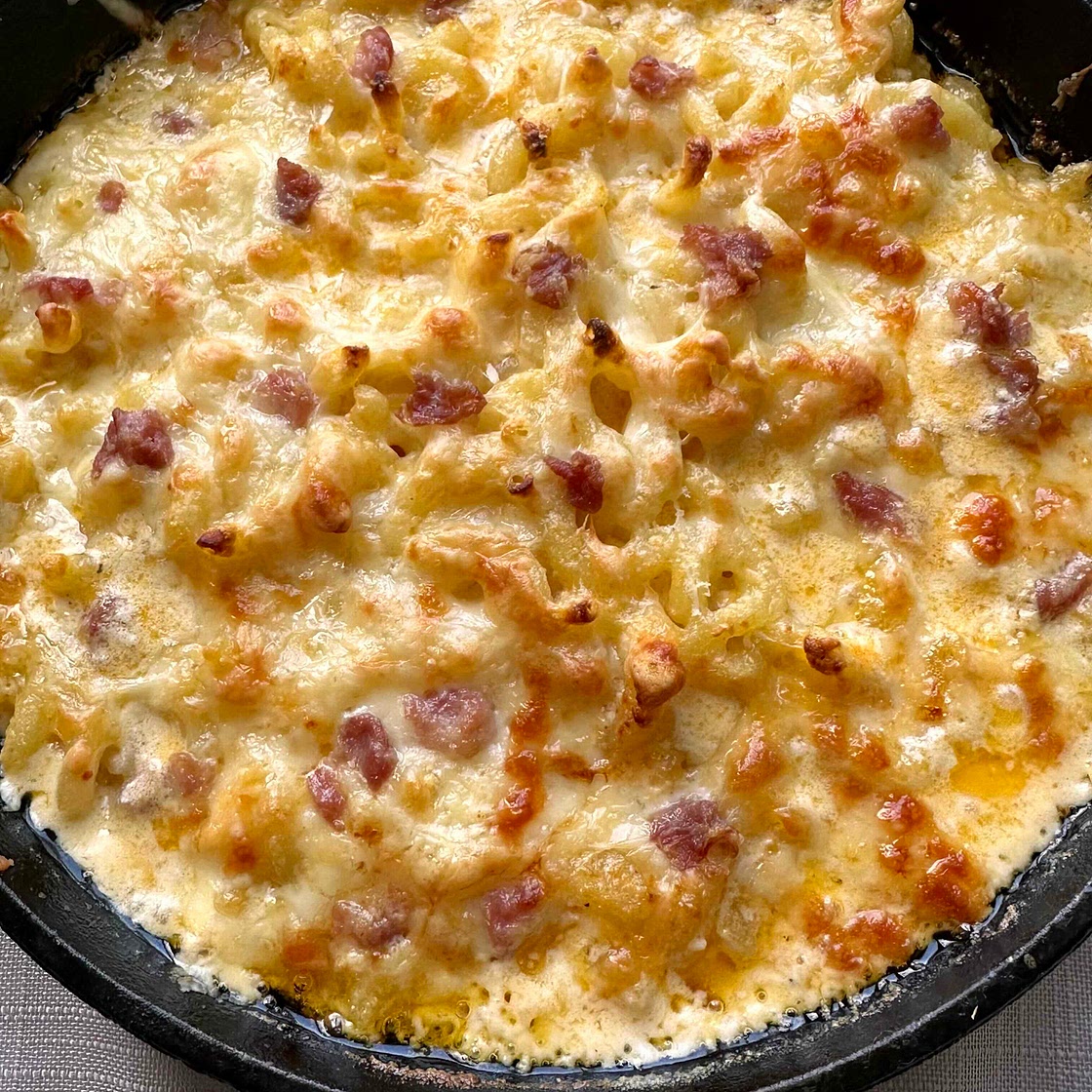 Three Cheese Pasta Gratin 