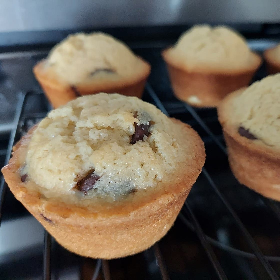 Chocolate Chip Muffins
