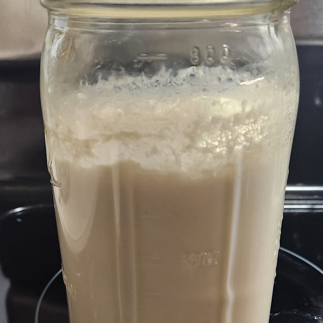Nondairy yogurt