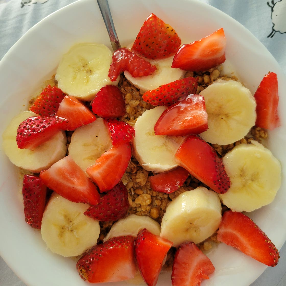 chia oatmeal pudding