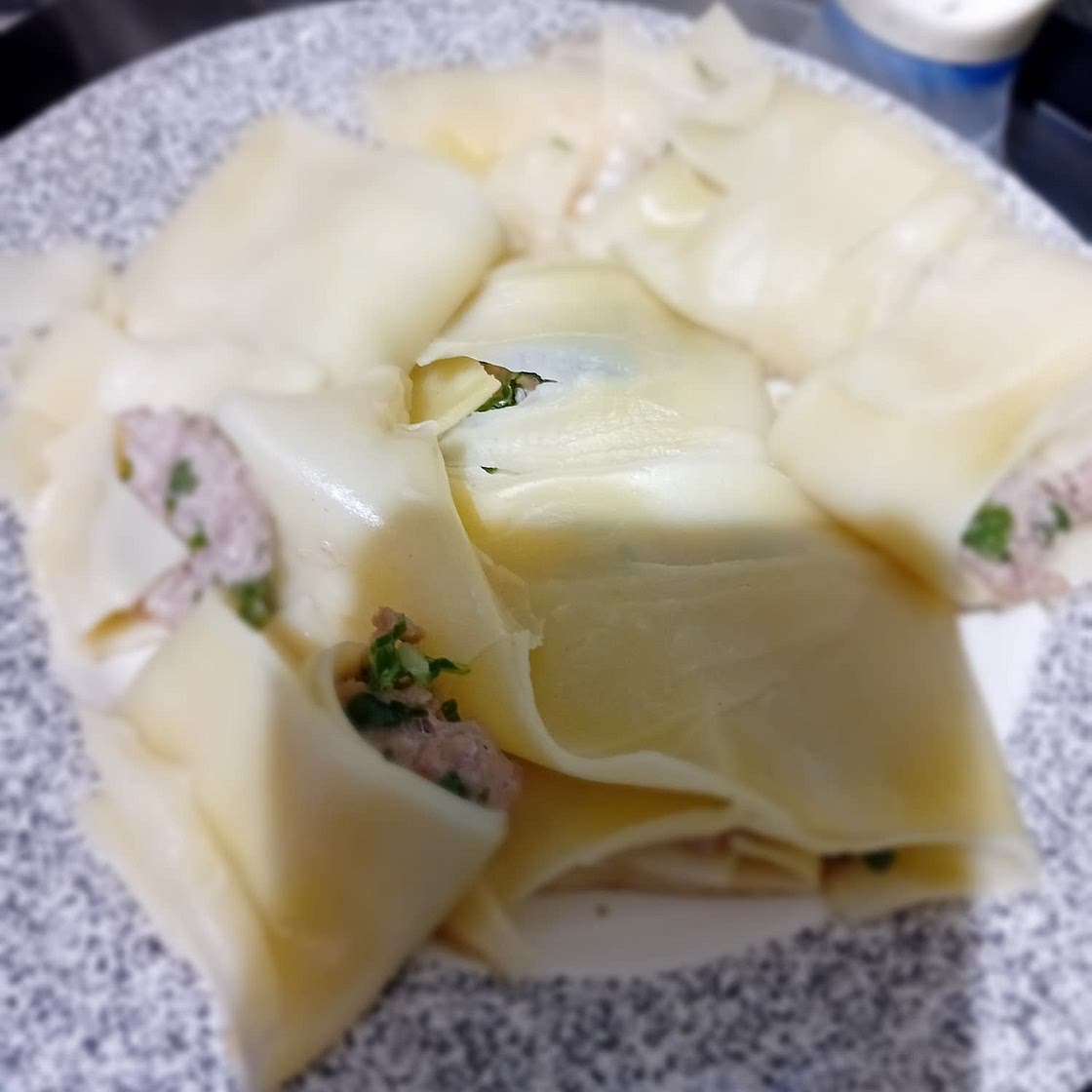 Chinese Pan Fried Dumplings