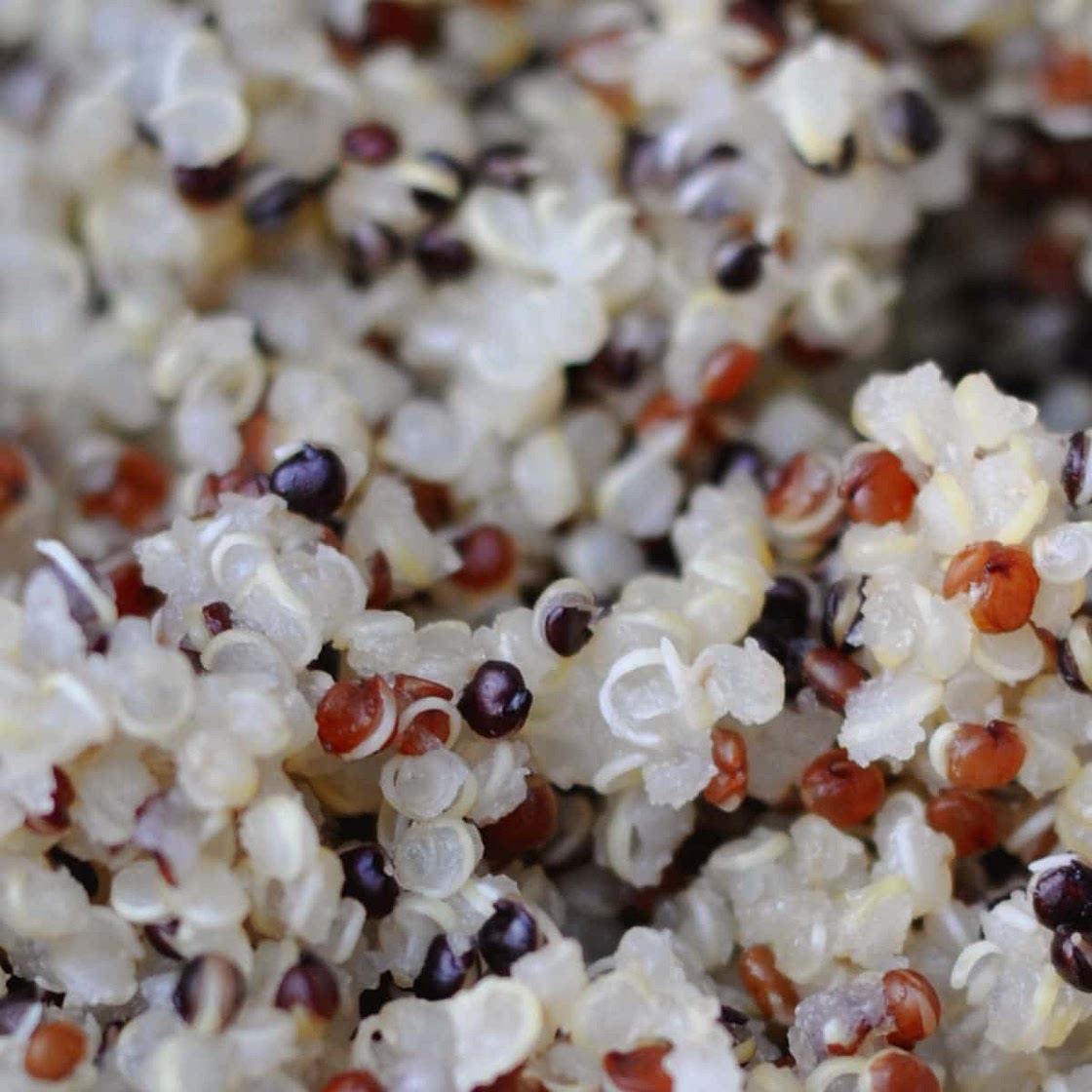 How to cooked perfect quinoa all the time (the lazy way)