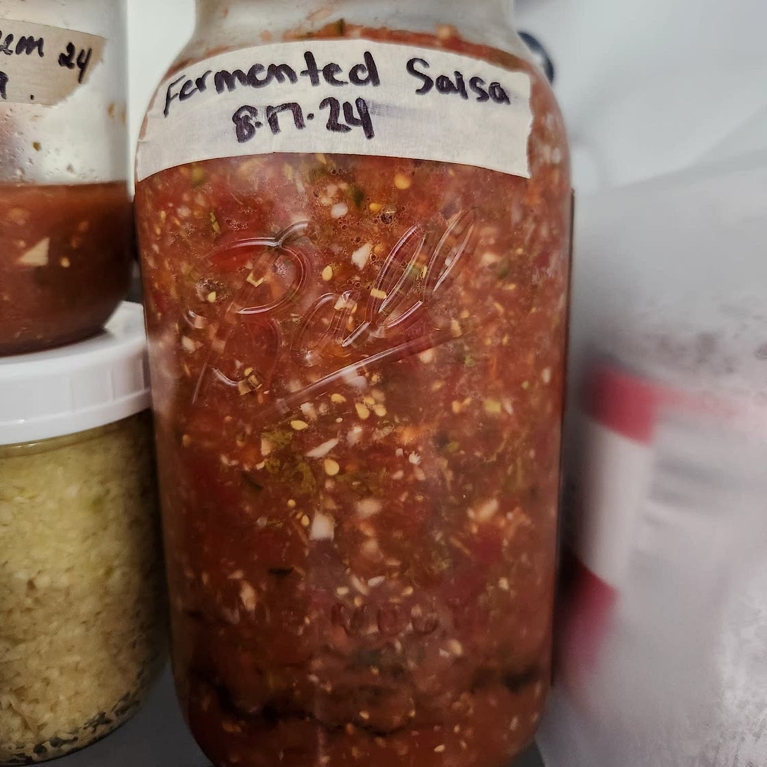 Fermented Salsa