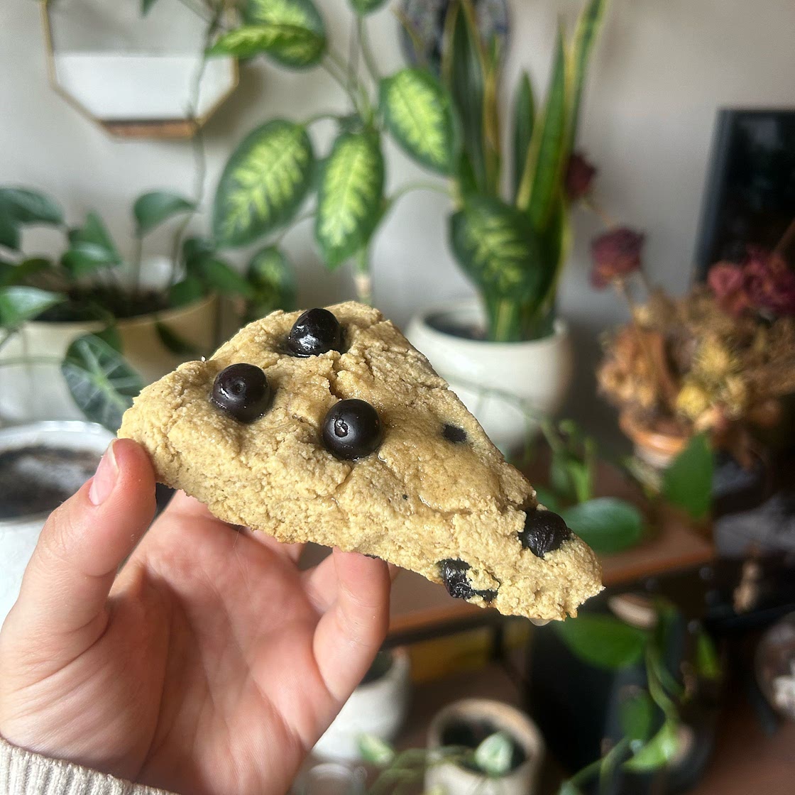 Keto Lemon Blueberry Scones
