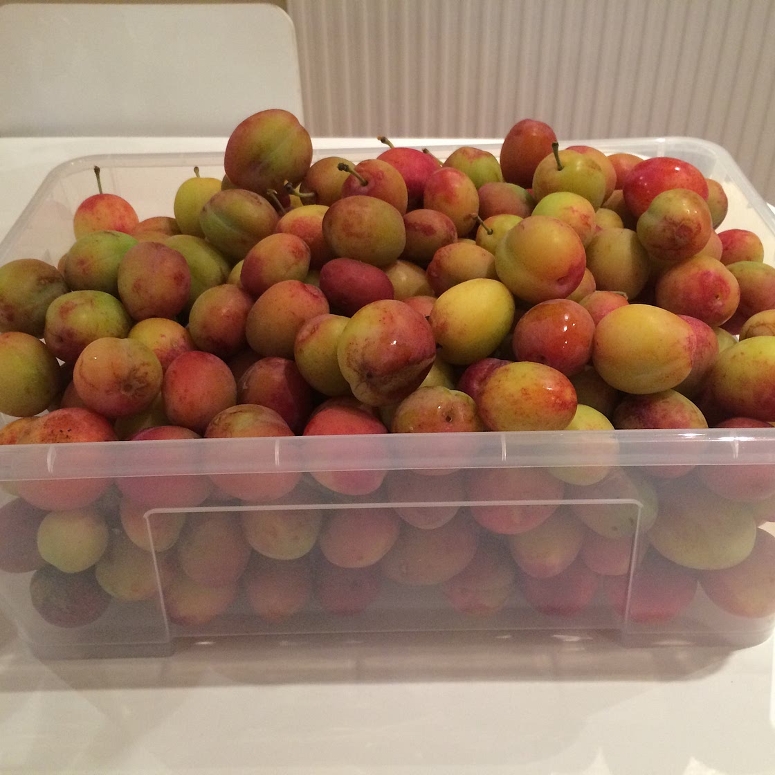 Plum Jam
