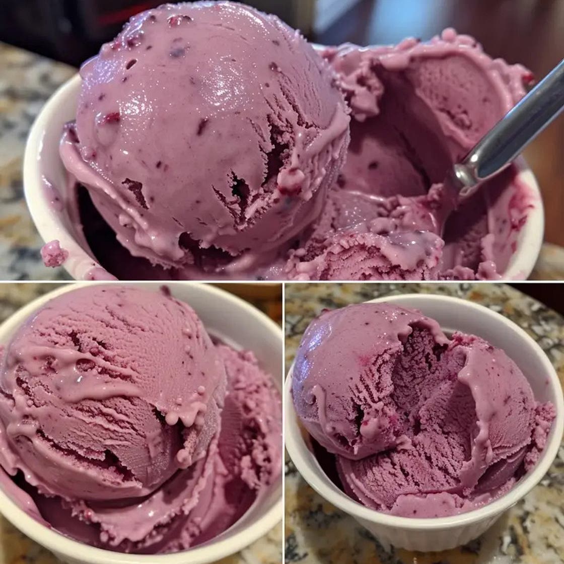Vegan Blueberry Yogurt Ice Cream