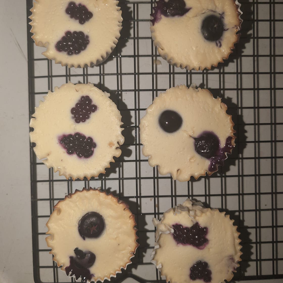 Berry Protein Mini Cheesecakes