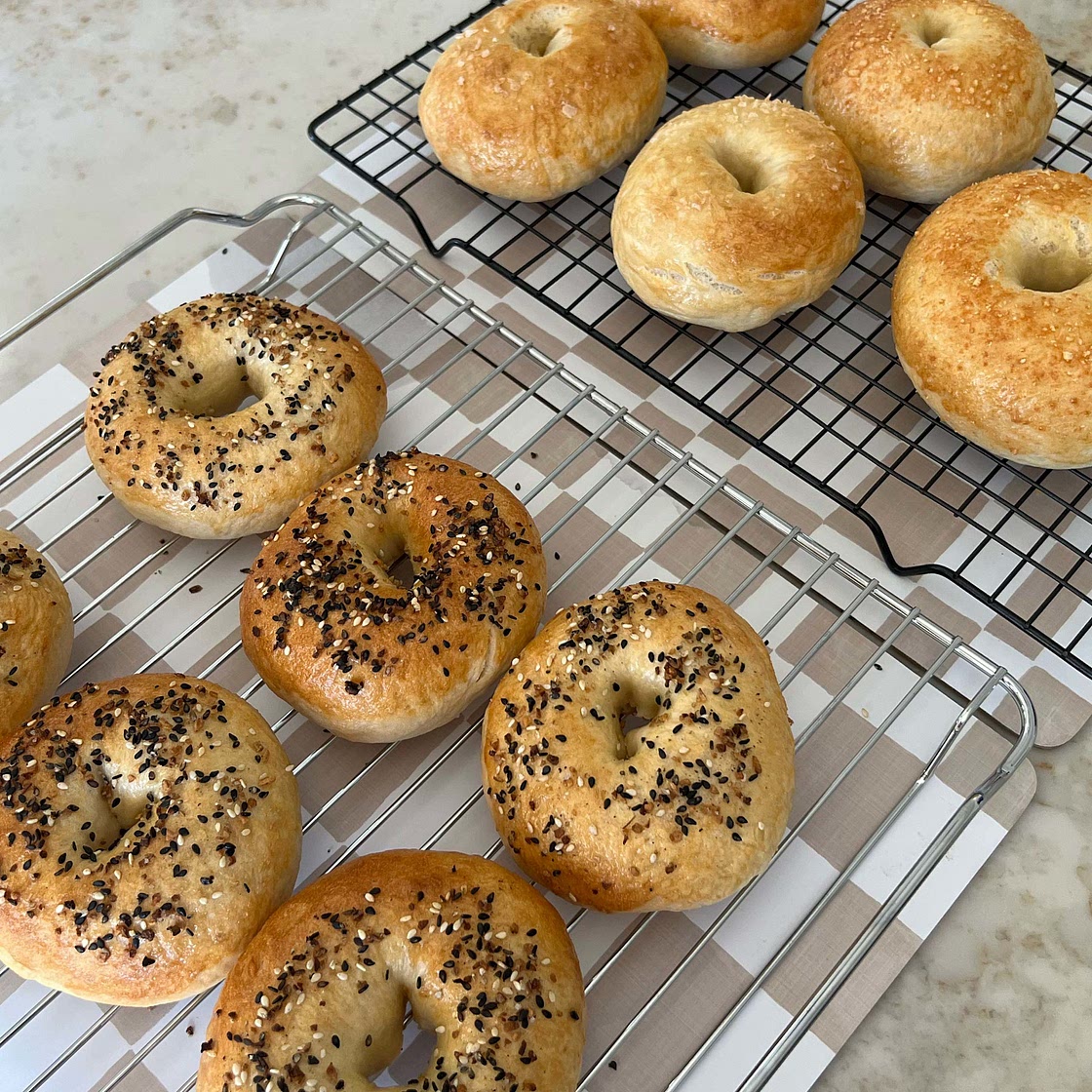 New York Bagels