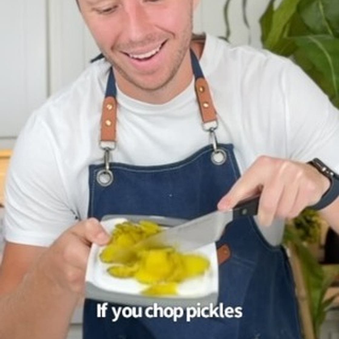 Cheesy Fried Pickle Balls