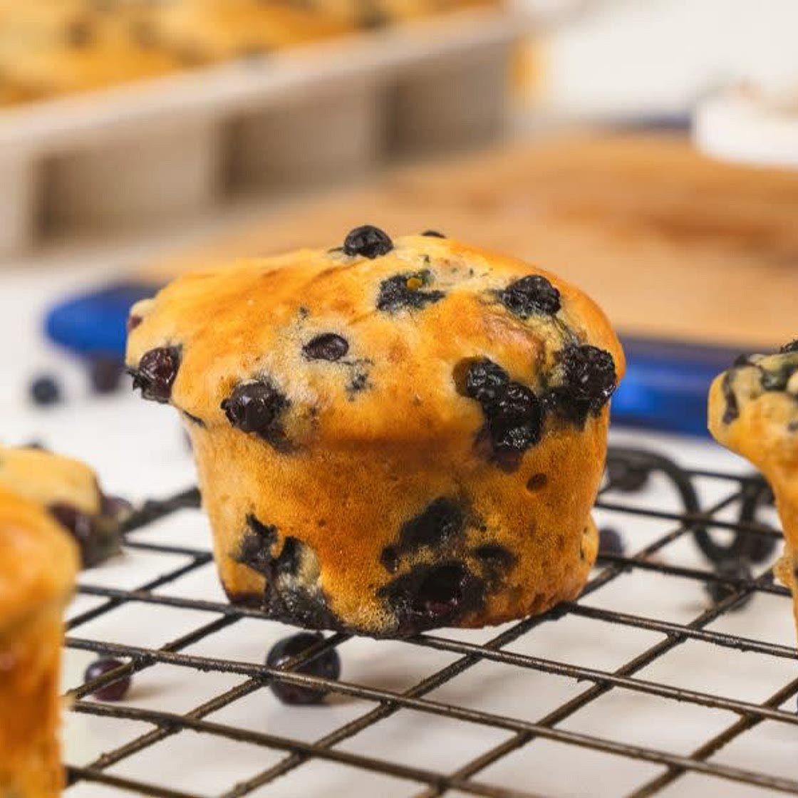 Cottage Cheese Blueberry Muffins
