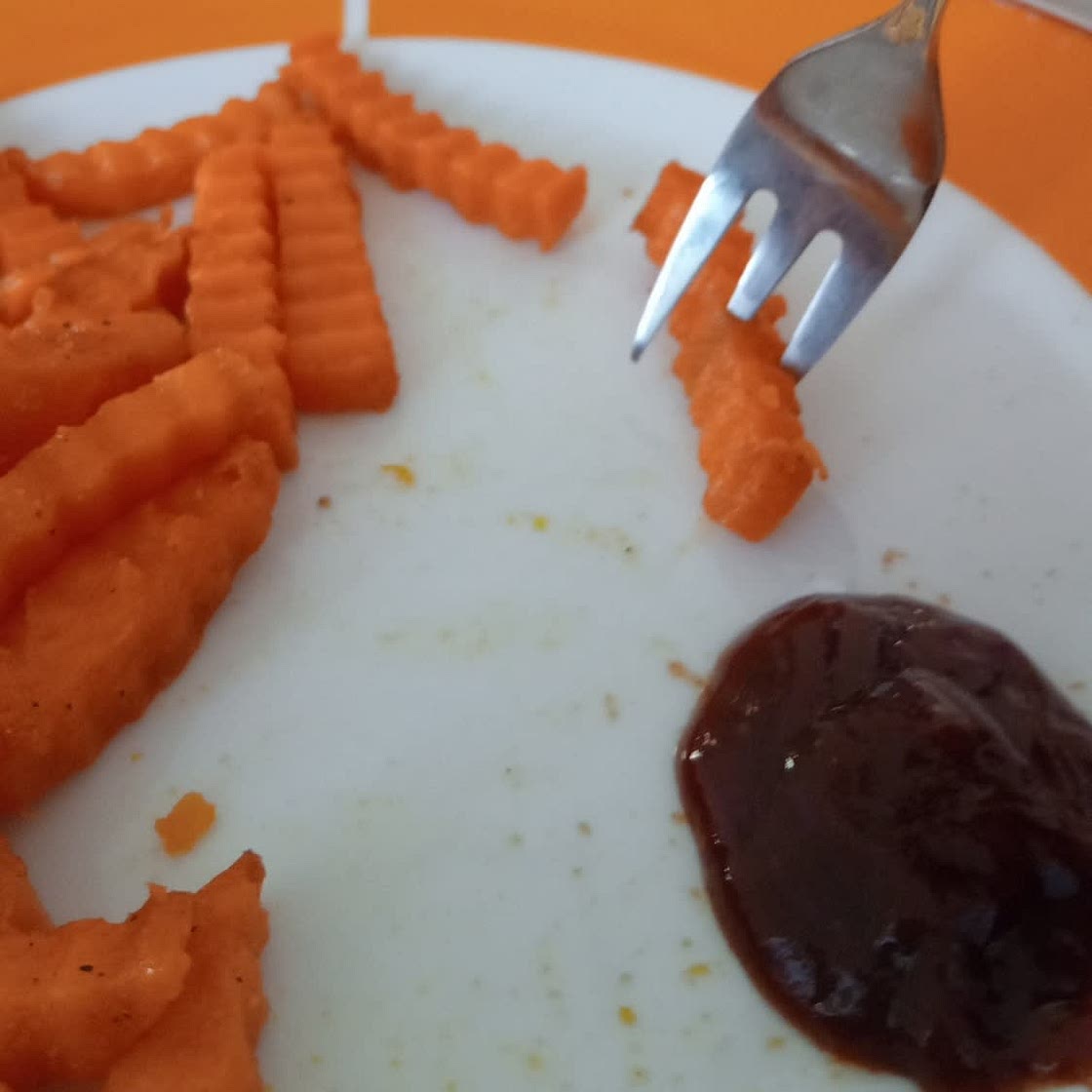 Air Fryer Sweet Potato Fries