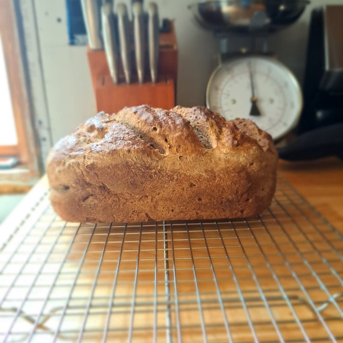 Easy Gluten Free Sandwich Bread