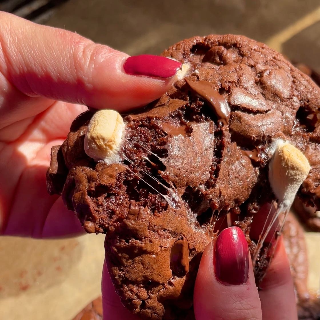 “It ends with us” Hot Chocolate Cookies