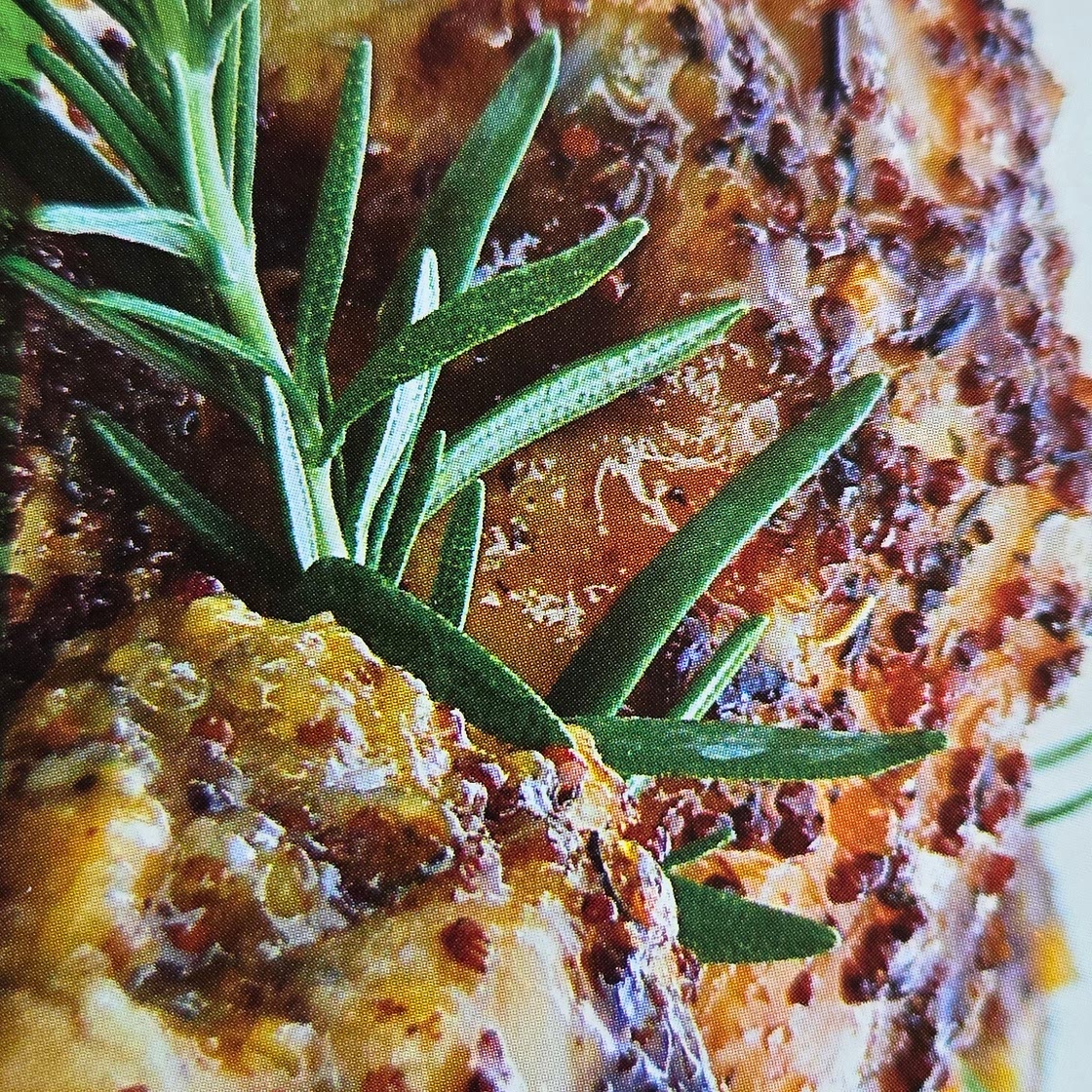 Not Humdrumsticks