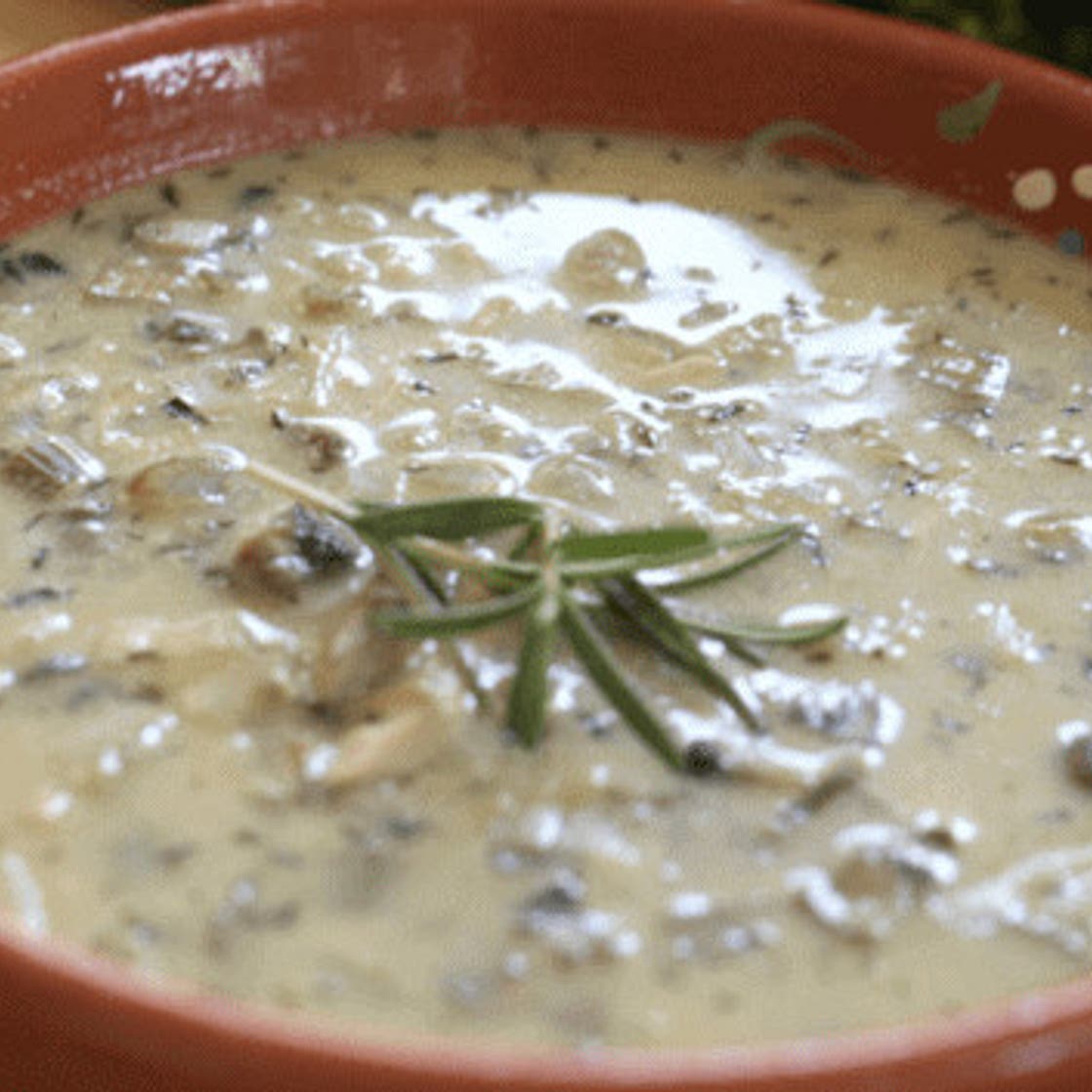 Beth's Chicken and Mushroom Witches Stew