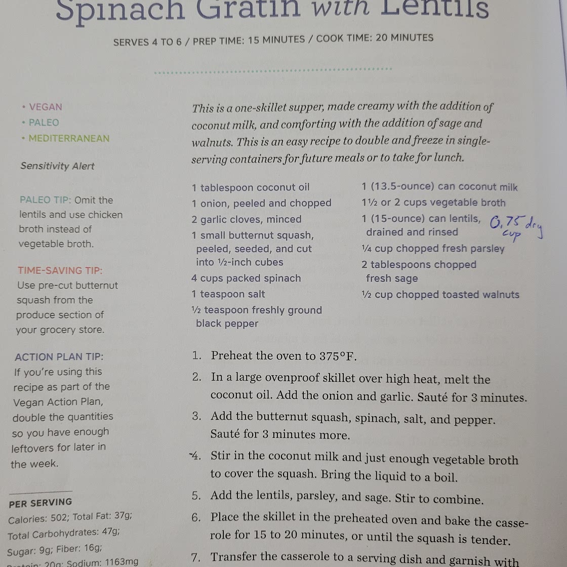 Butternut squash and spinach gratin with lentils