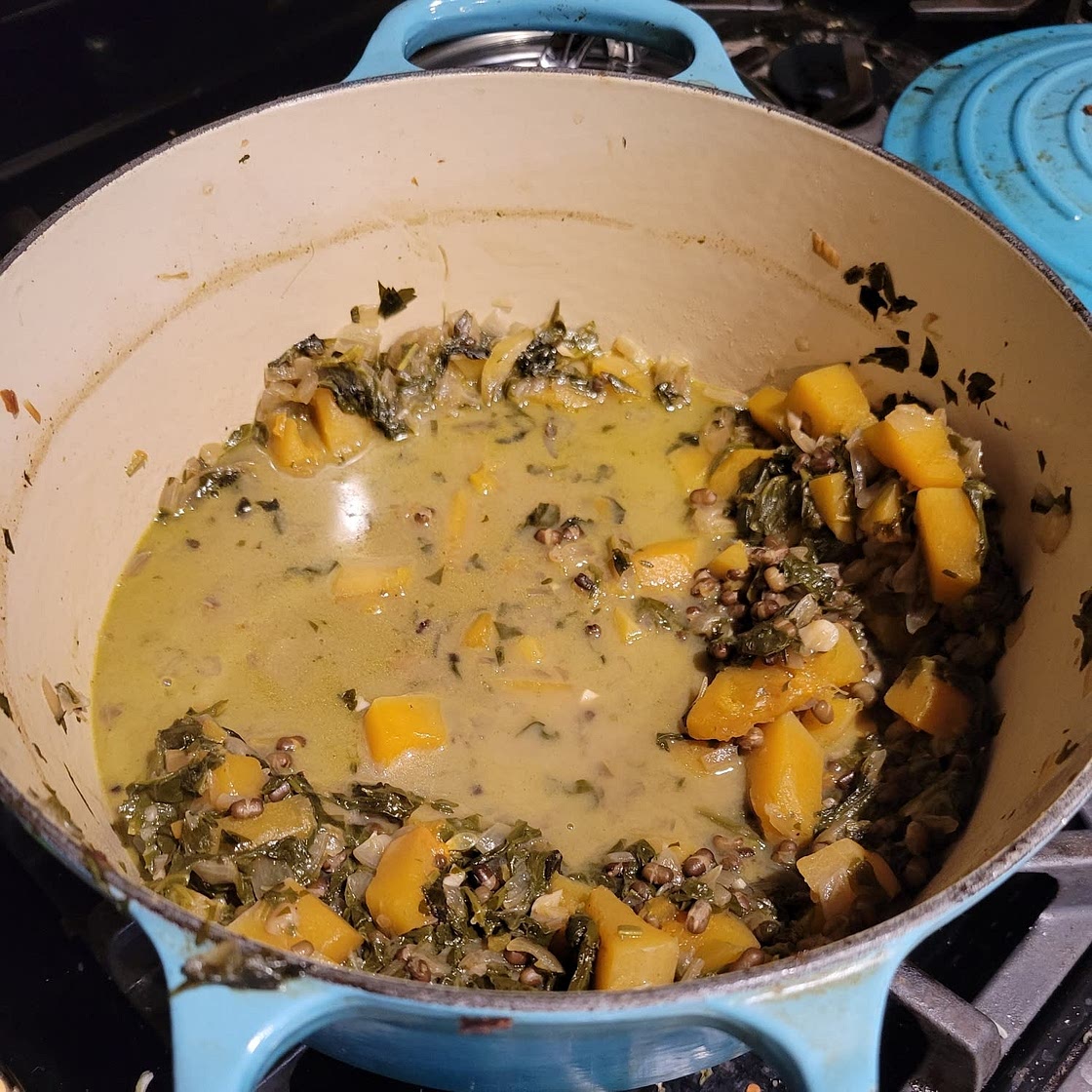 Butternut squash and spinach gratin with lentils