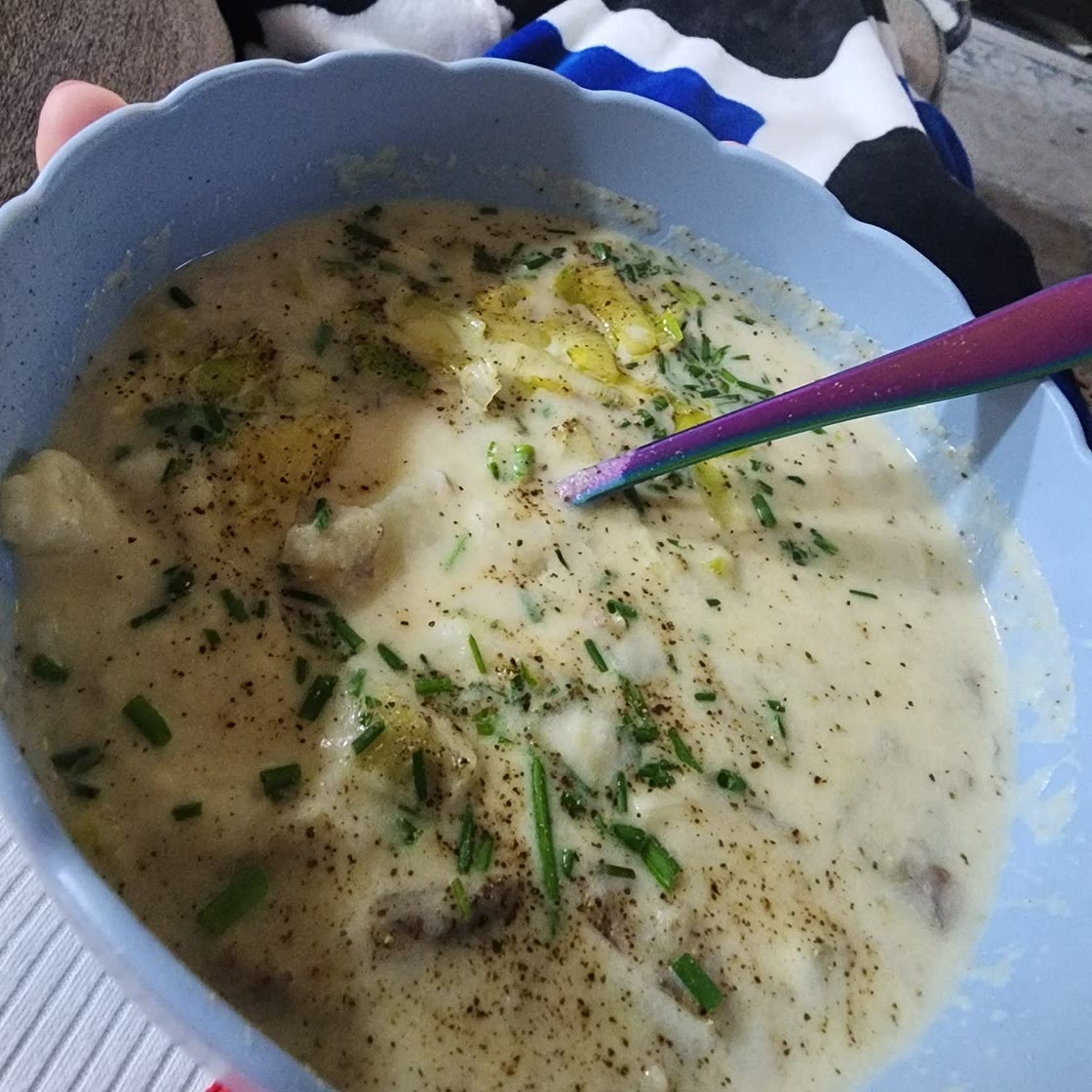Soup maker leek and potato soup