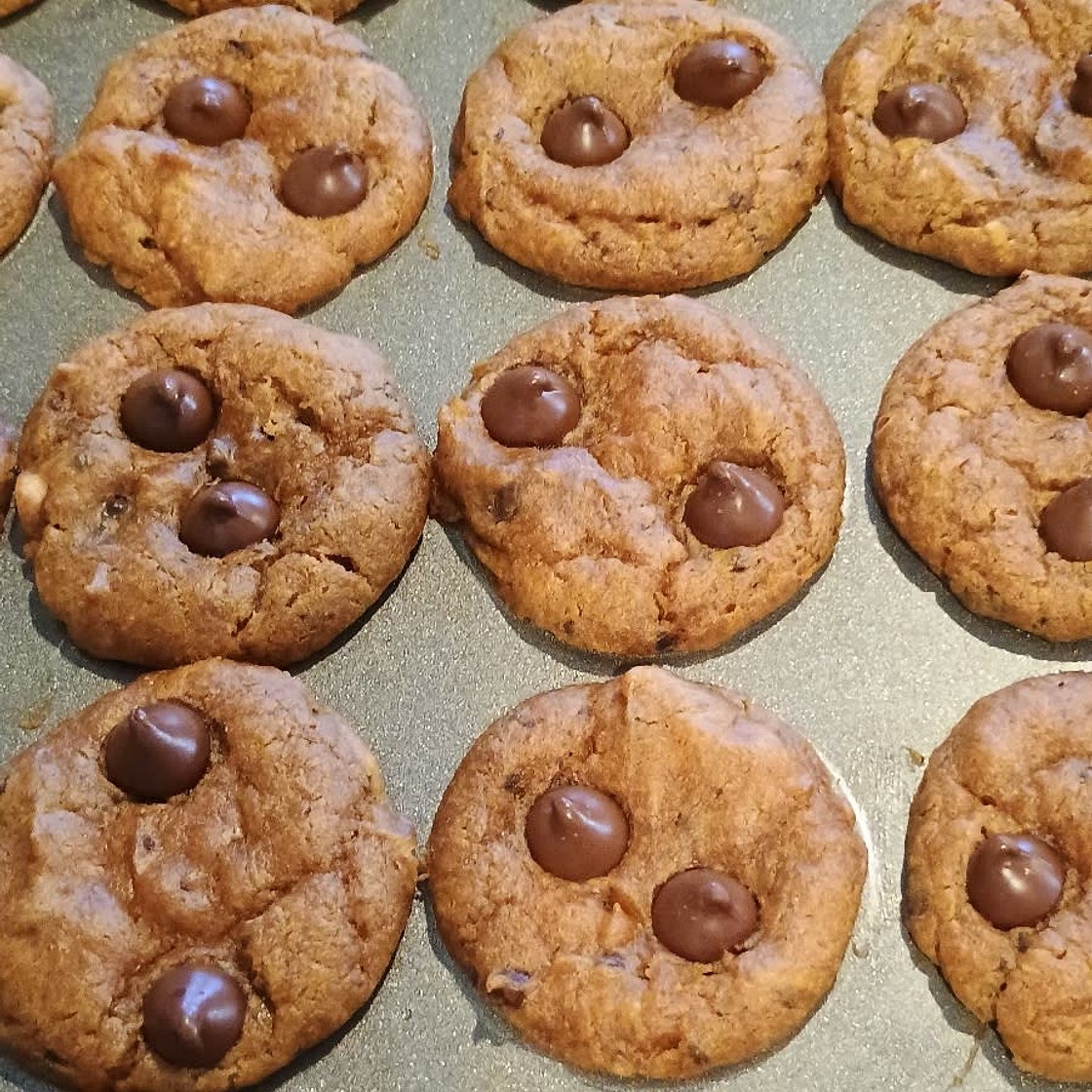 Flourless Pumpkin Chocolate Chip Muffins