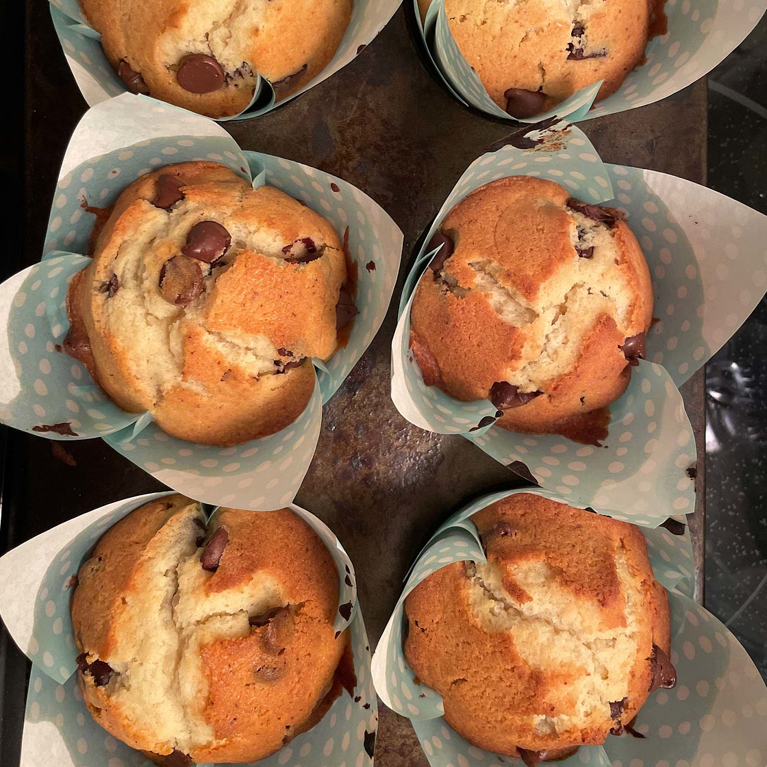 Chocolate Chip Muffins