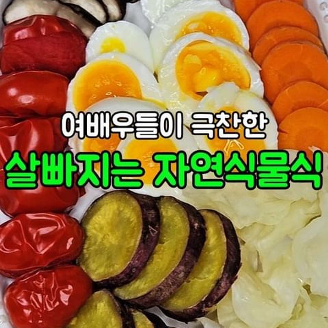 자연식물식