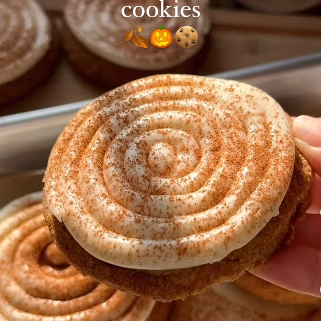 Pumpkin snickerdoodle cookies🍂🎃🍪