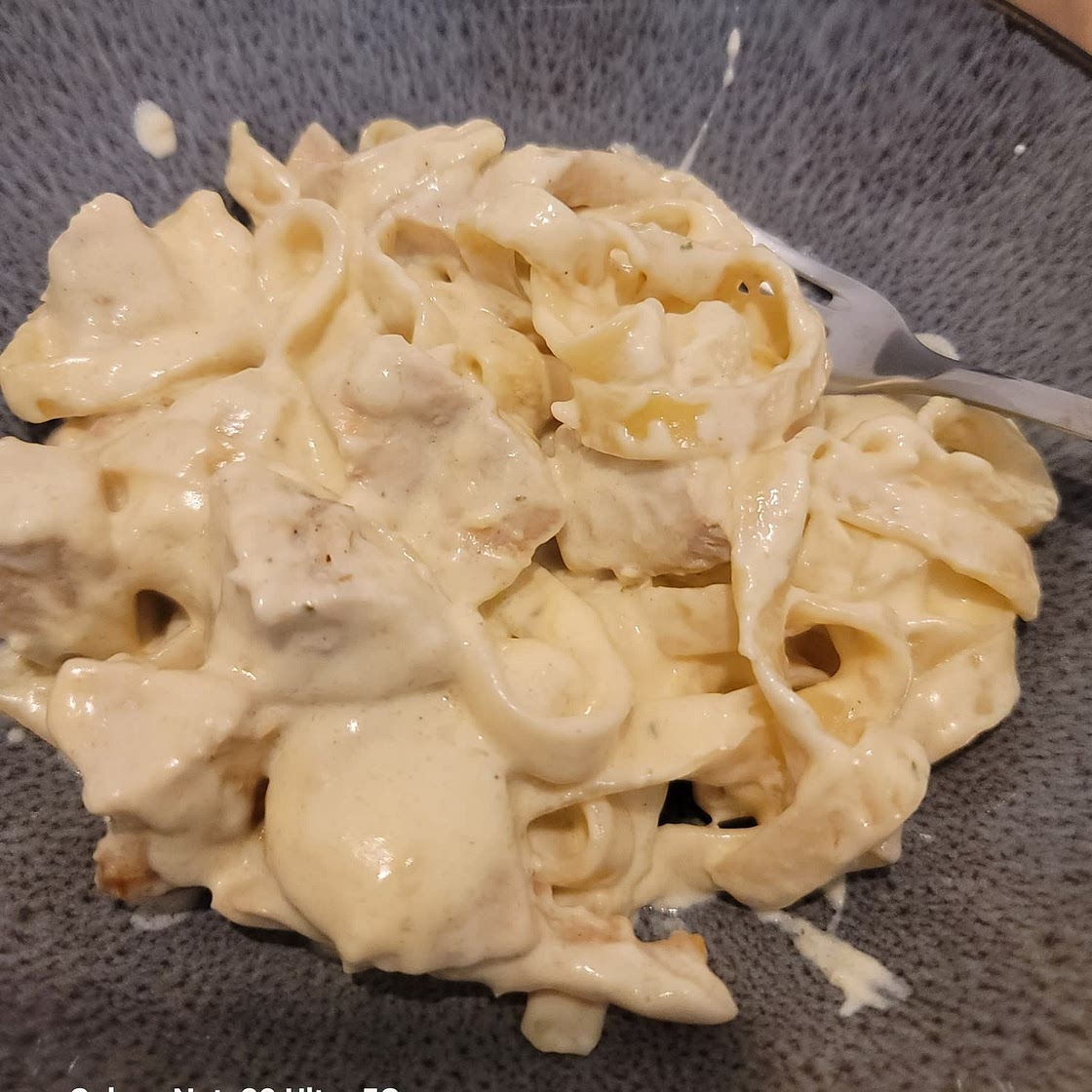 Creamy Alfredo Chicken Pasta