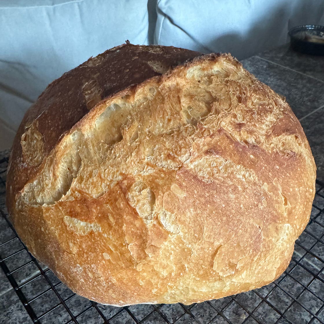 Crusty Artisan Bread