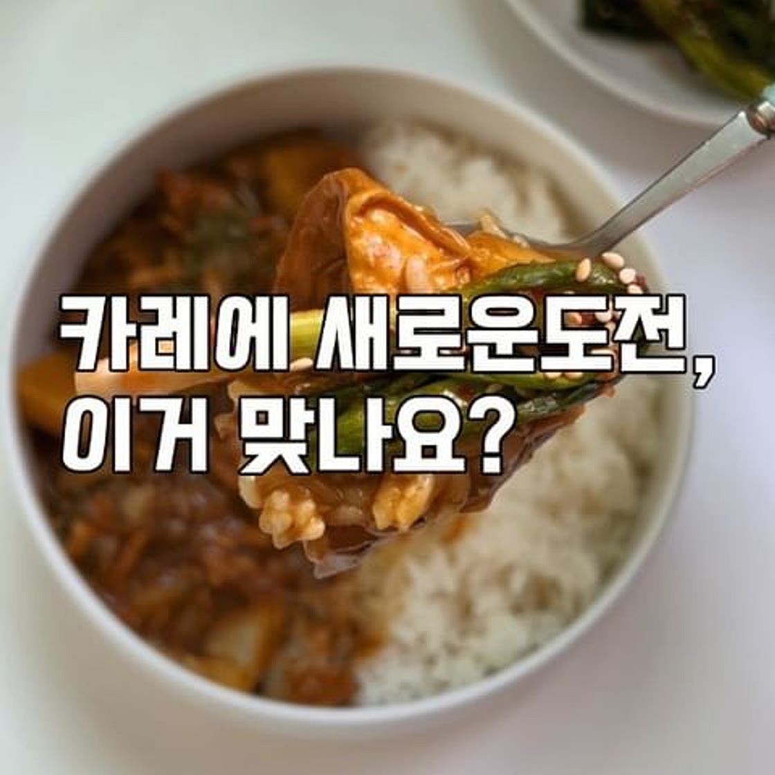 카레레시피