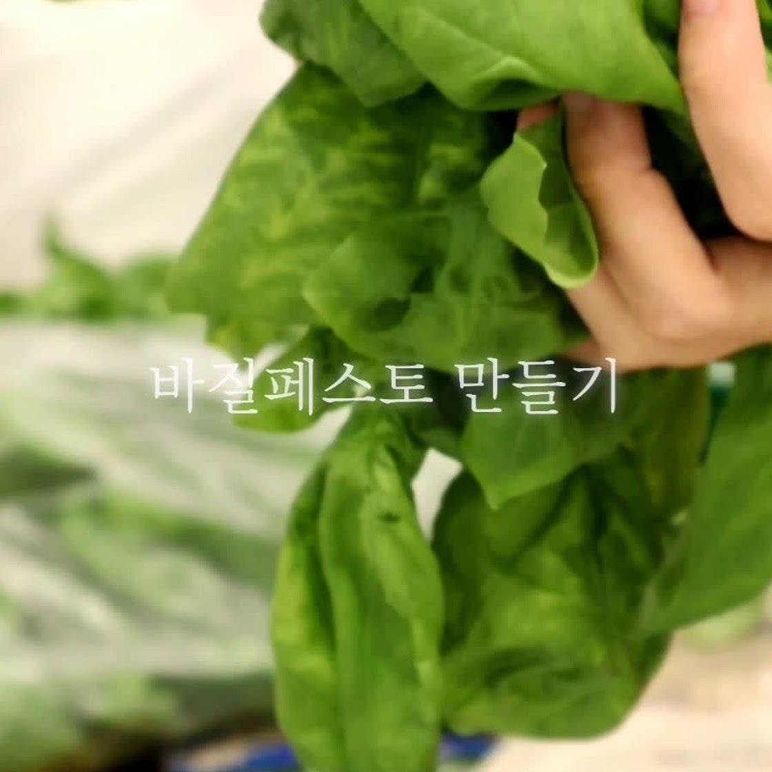 바질 페스토 만들기