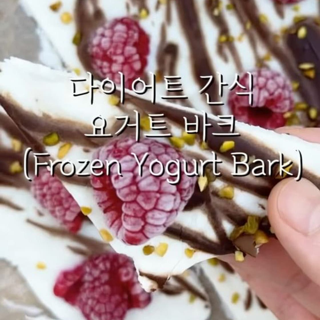 다이어트 간식! 요거트 바크