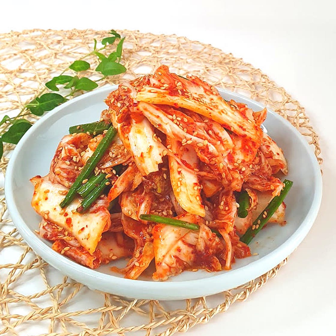 알배기배추 겉절이