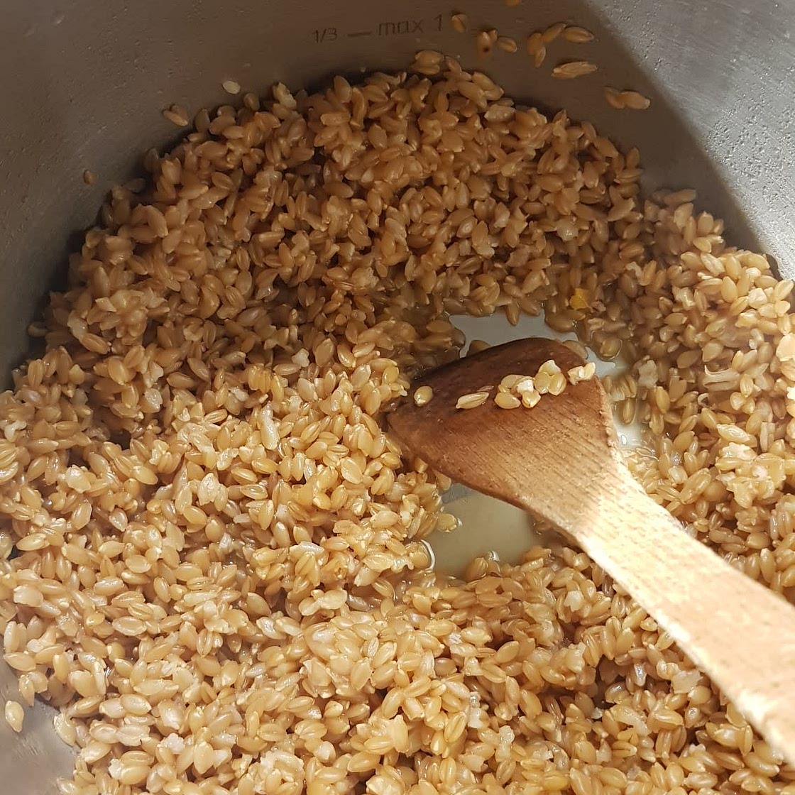 Epeautre à l'autocuiseur