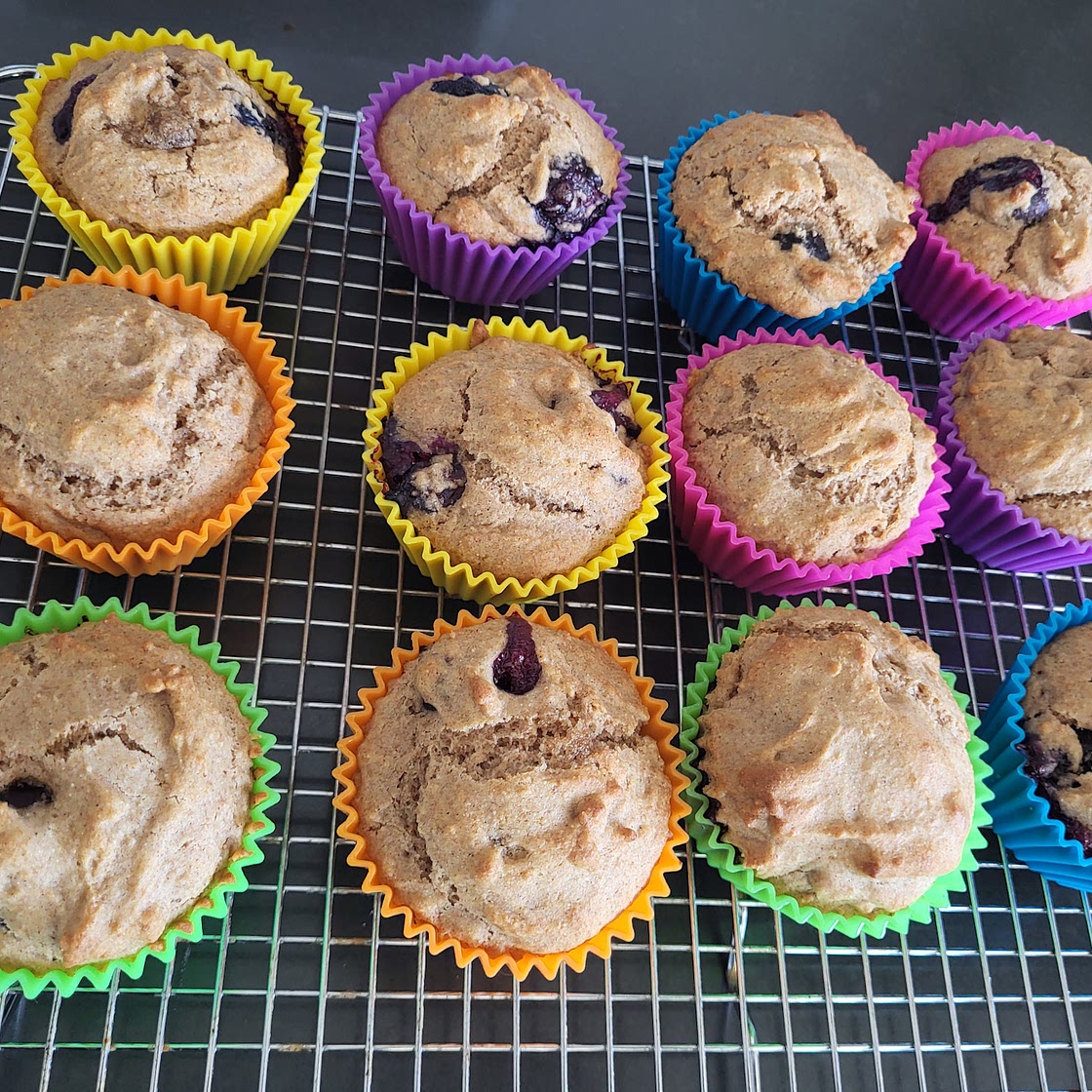 Whole Wheat Muffins