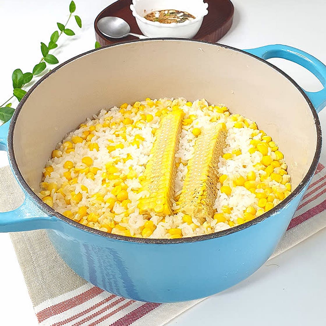 초당옥수수밥