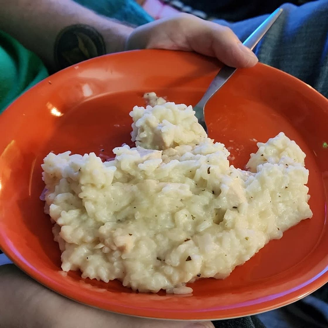 Creamy Parmesan One Pot Chicken and Rice