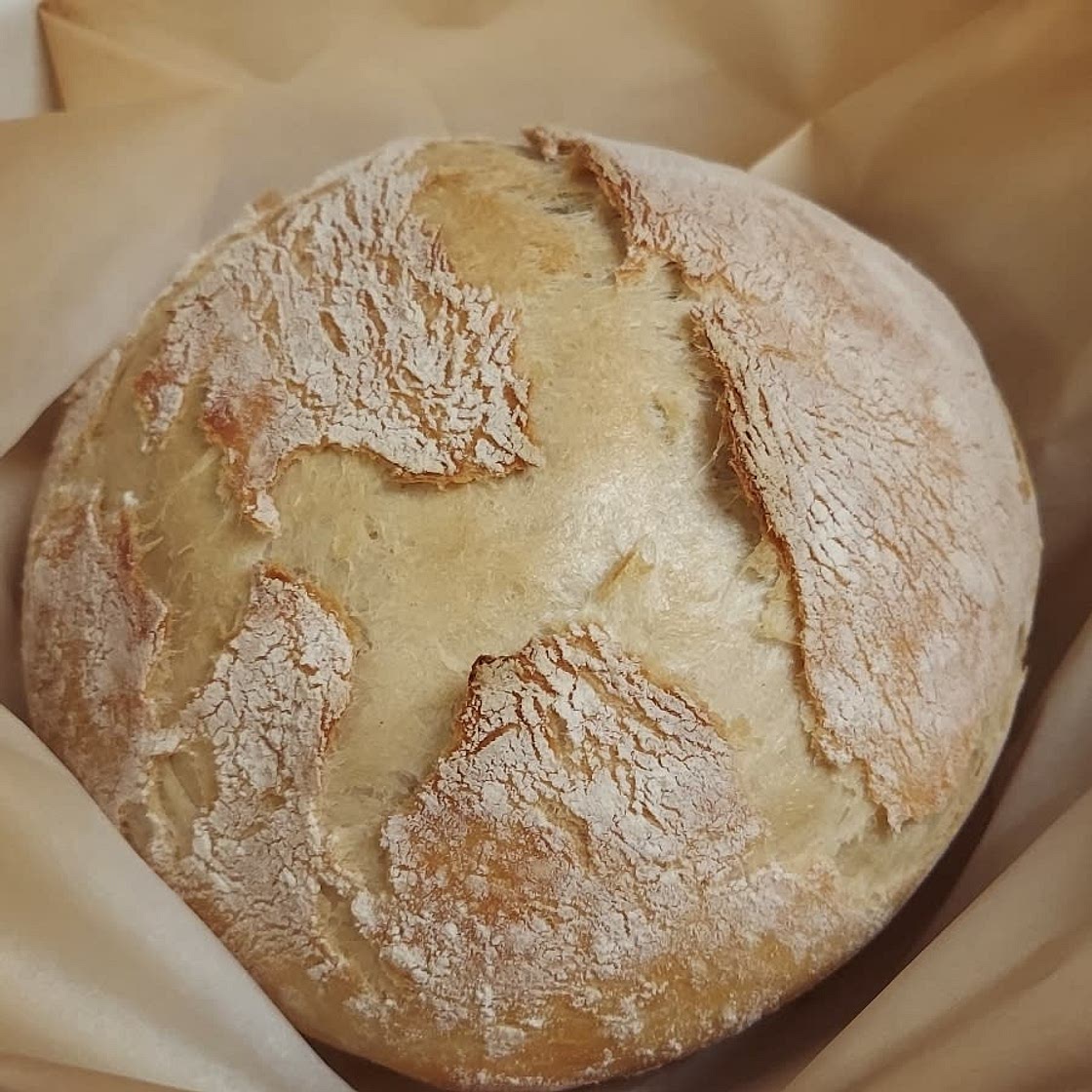 World's Easiest Yeast Bread recipe - Artisan, NO KNEAD